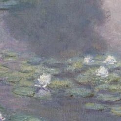 Monet's Water lily.